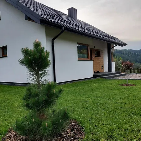 Na Duzynie Ochotnica Górna
